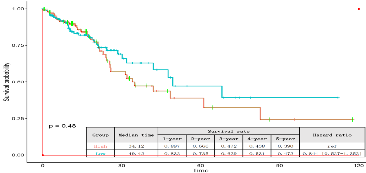 image-20250116093355459